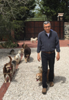 Levent Akson Polaris Shipping Dog Shelter