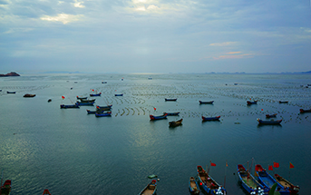 Fish farm